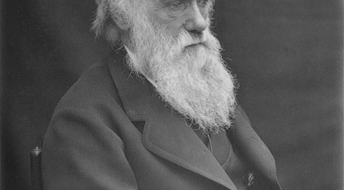 THE DECADENCE OF DARWINISM