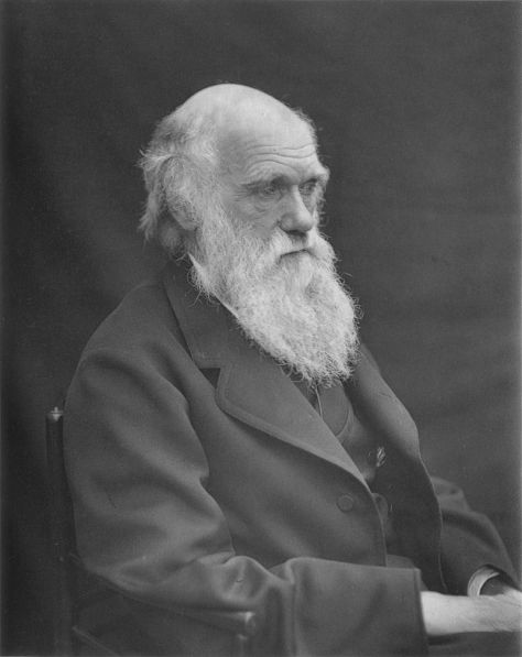 THE DECADENCE OF DARWINISM | The Loud Cry