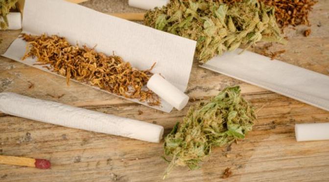 Cannabis use alters DNA to increase disease risk, study says