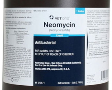 What’s in Vaccines? Neomycin