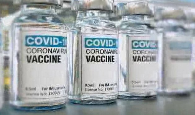 What’s in Vaccines?