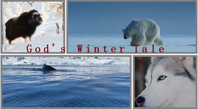 God’s Winter Tale