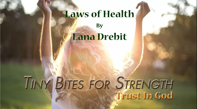 Tiny Bites For Strength – Trust In God by Lana Drebit